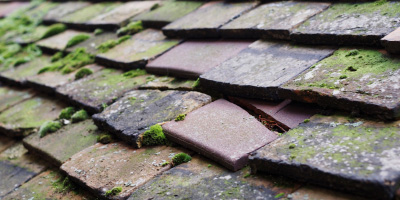 Pentre Morgan roof repair costs